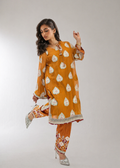 ETHNIC Botique Wear 2 piece Suit