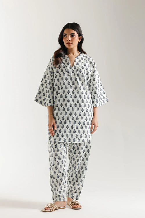 2 Piece Printed Suit (Ethnic)